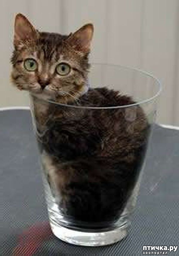 ���� 9: ����� - �����