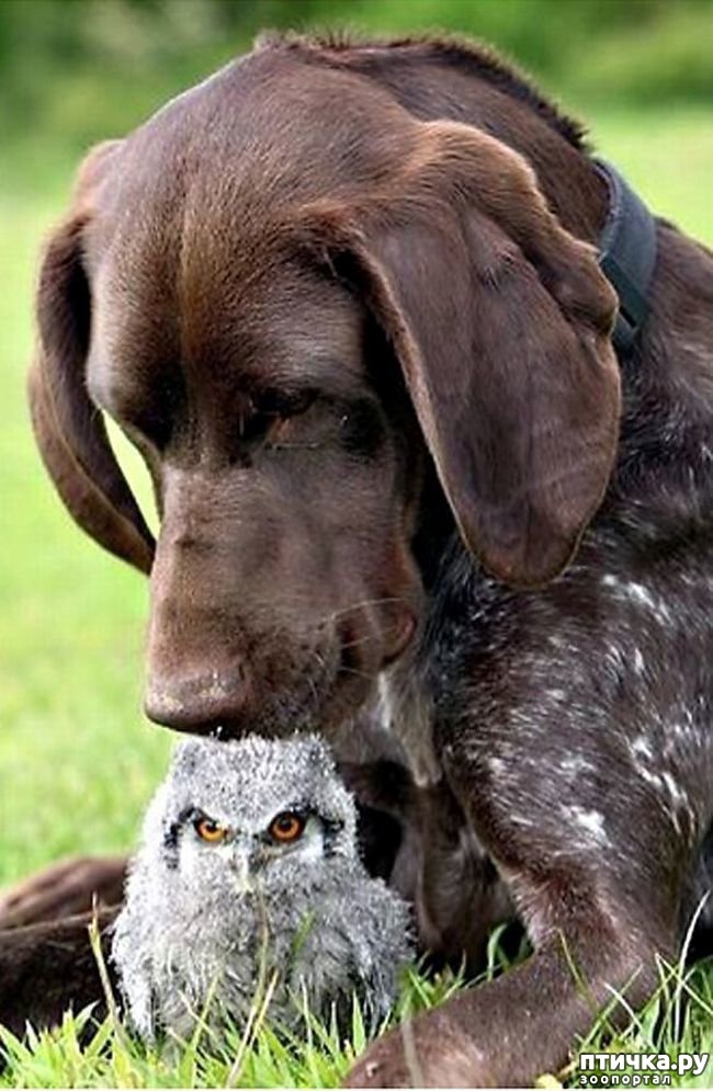 ���� 9: ������������ �������� ����, ������������, ��� ������ ����� ���� ������ �������))