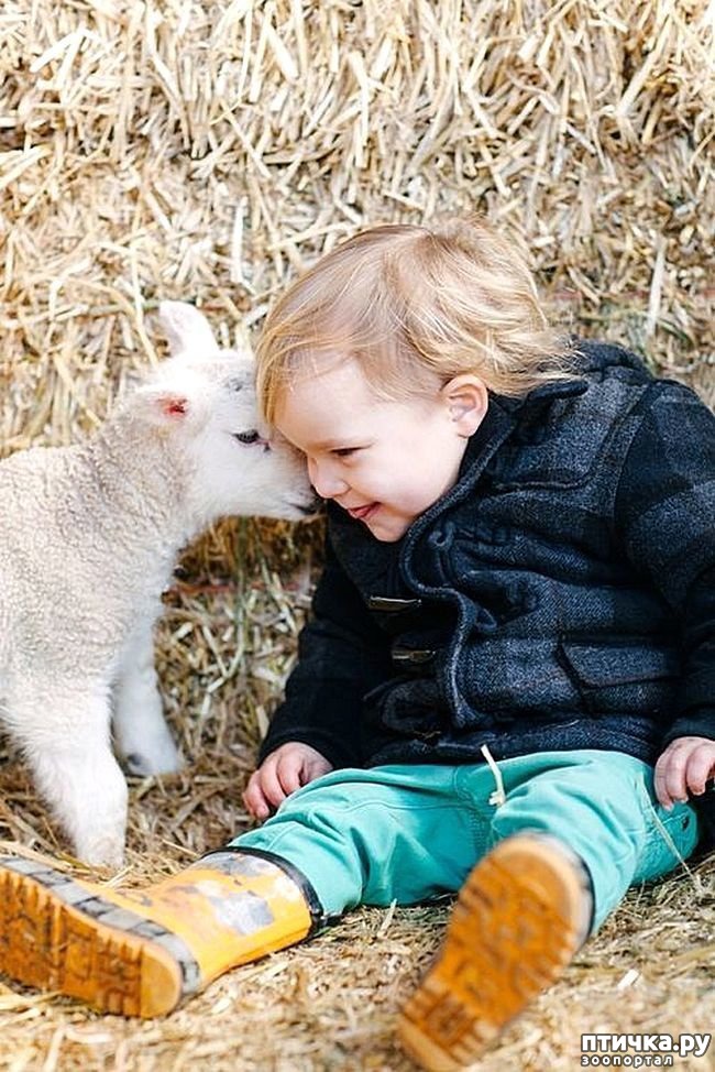 ���� 11: ������������ �������� ����, ������������, ��� ������ ����� ���� ������ �������))