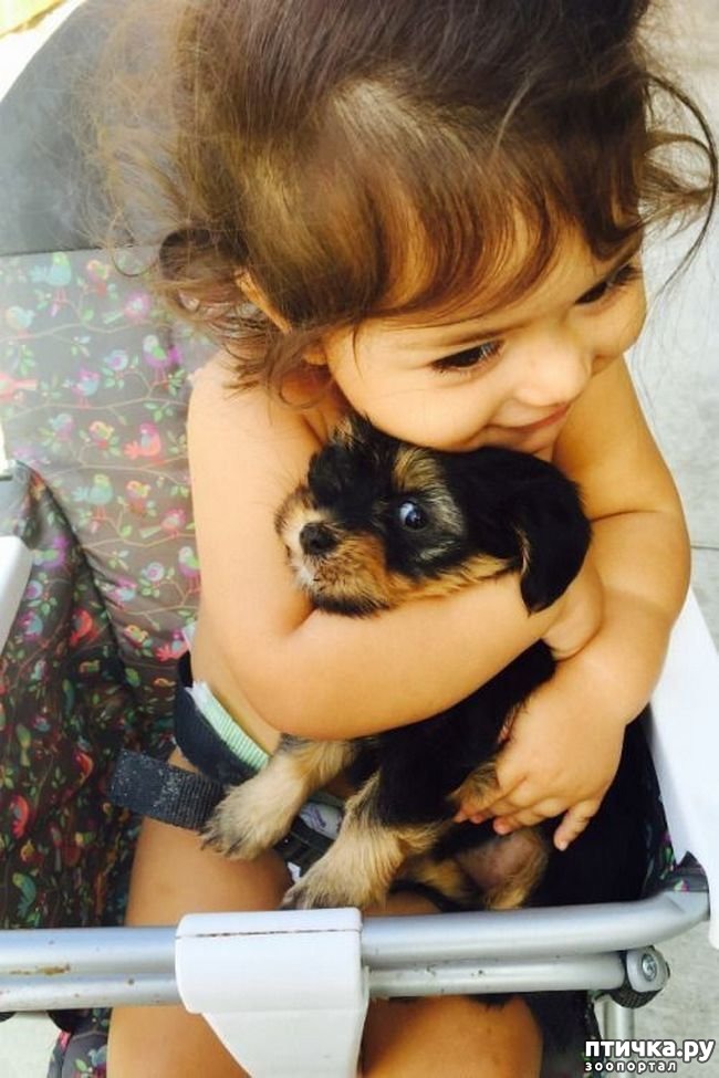 ���� 15: ������������ �������� ����, ������������, ��� ������ ����� ���� ������ �������))