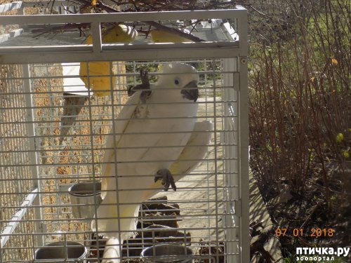 ���� 9: ����� ������ � ����� ���������!