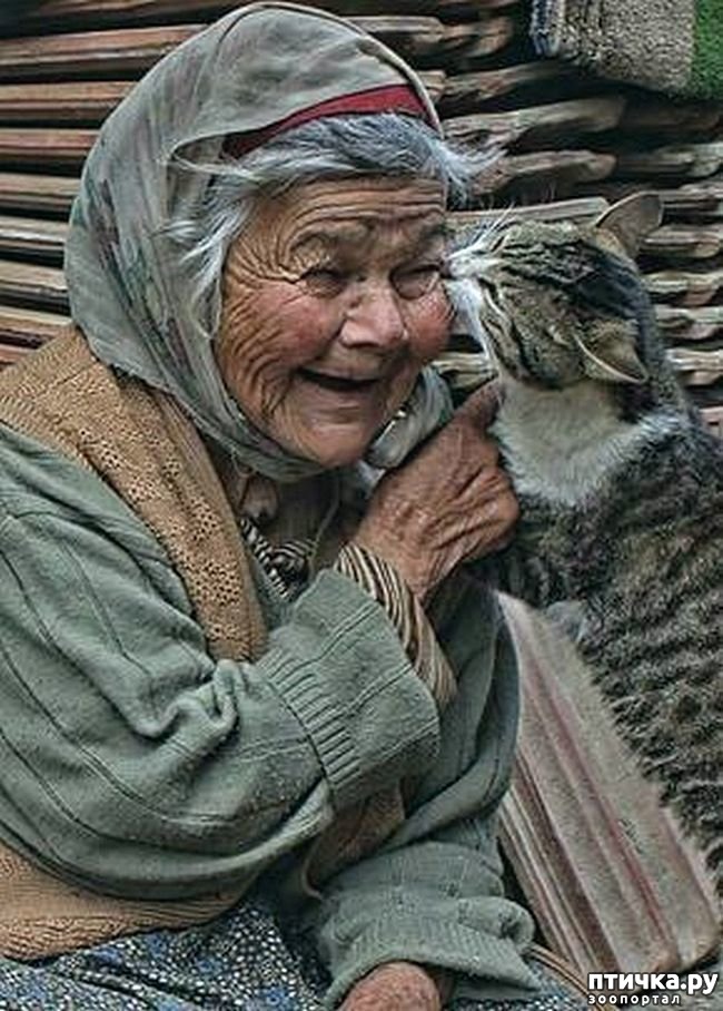 ���� 16: ������������ �������� ����, ������������, ��� ������ ����� ���� ������ �������))