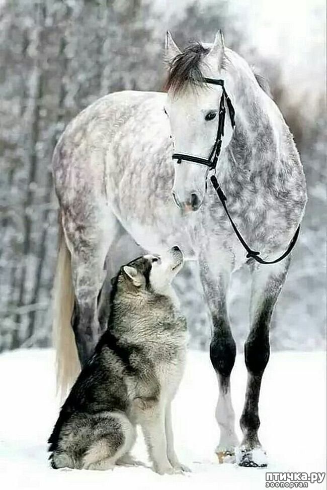 ���� 18: ������������ �������� ����, ������������, ��� ������ ����� ���� ������ �������))