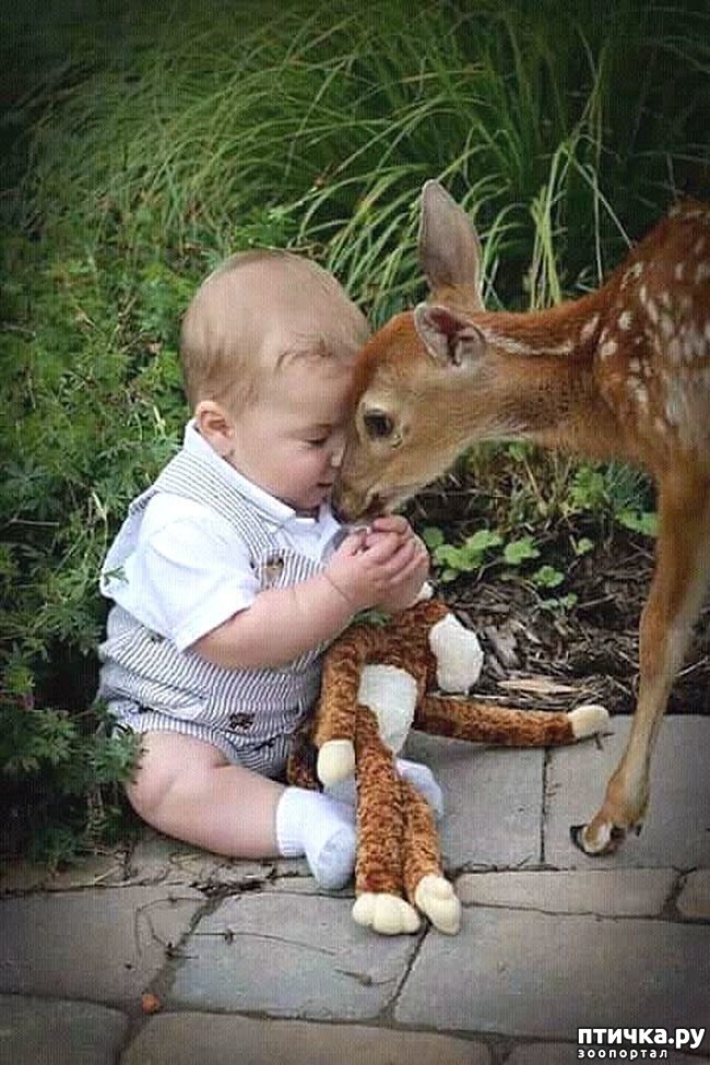 ���� 20: ������������ �������� ����, ������������, ��� ������ ����� ���� ������ �������))