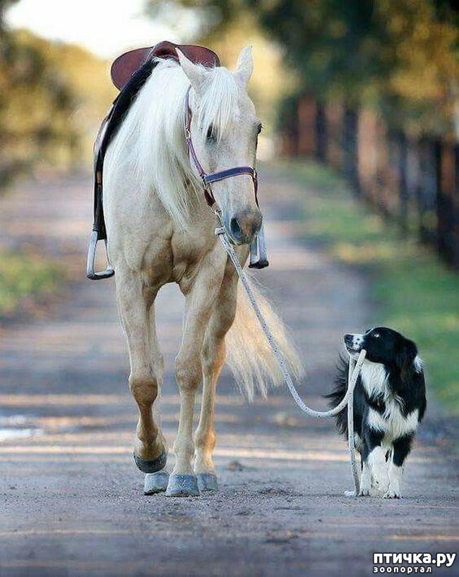 ���� 22: ������������ �������� ����, ������������, ��� ������ ����� ���� ������ �������))