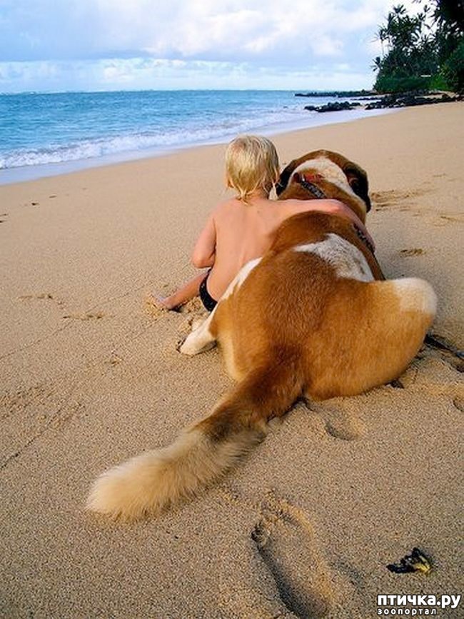 ���� 28: ������������ �������� ����, ������������, ��� ������ ����� ���� ������ �������))