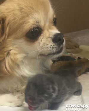 ����: ����� ����� �� ������)))