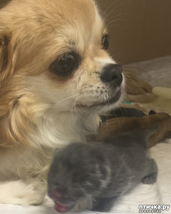 ���� 1: ����� ����� �� ������)))