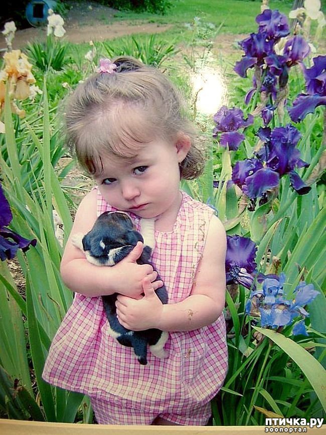 ���� 29: ������������ �������� ����, ������������, ��� ������ ����� ���� ������ �������))