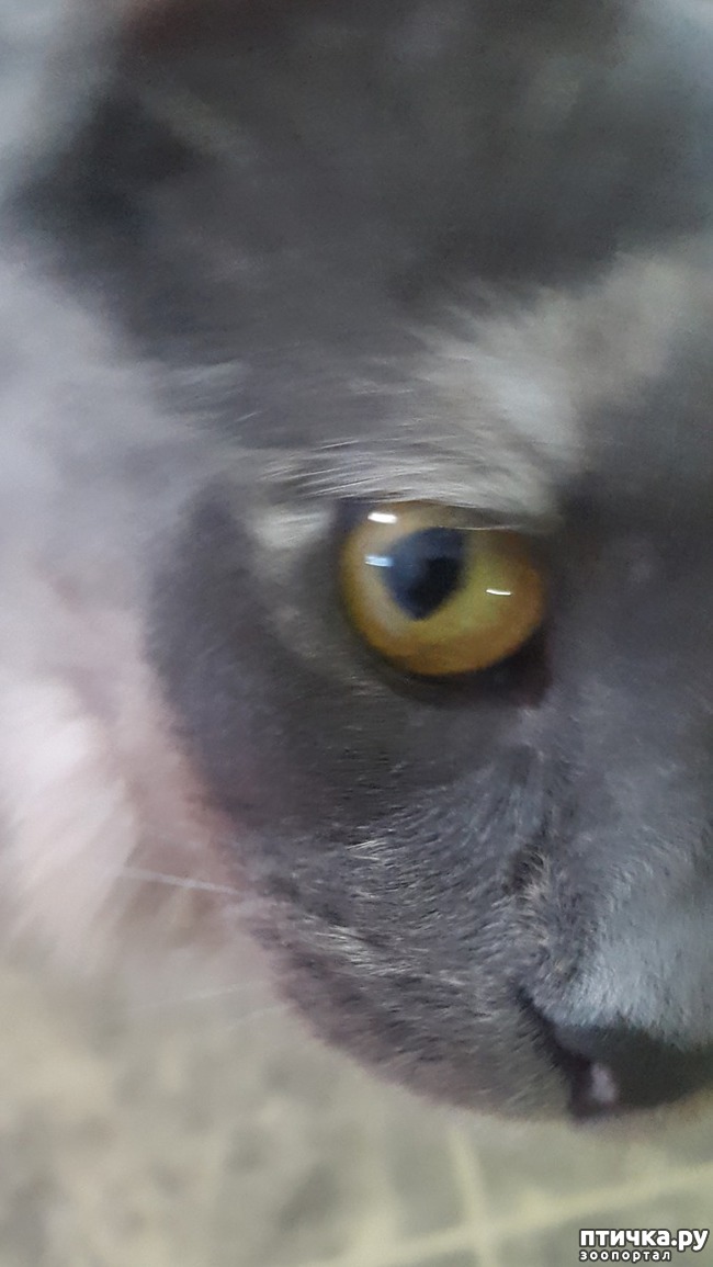 ���� 4: ���� � ����