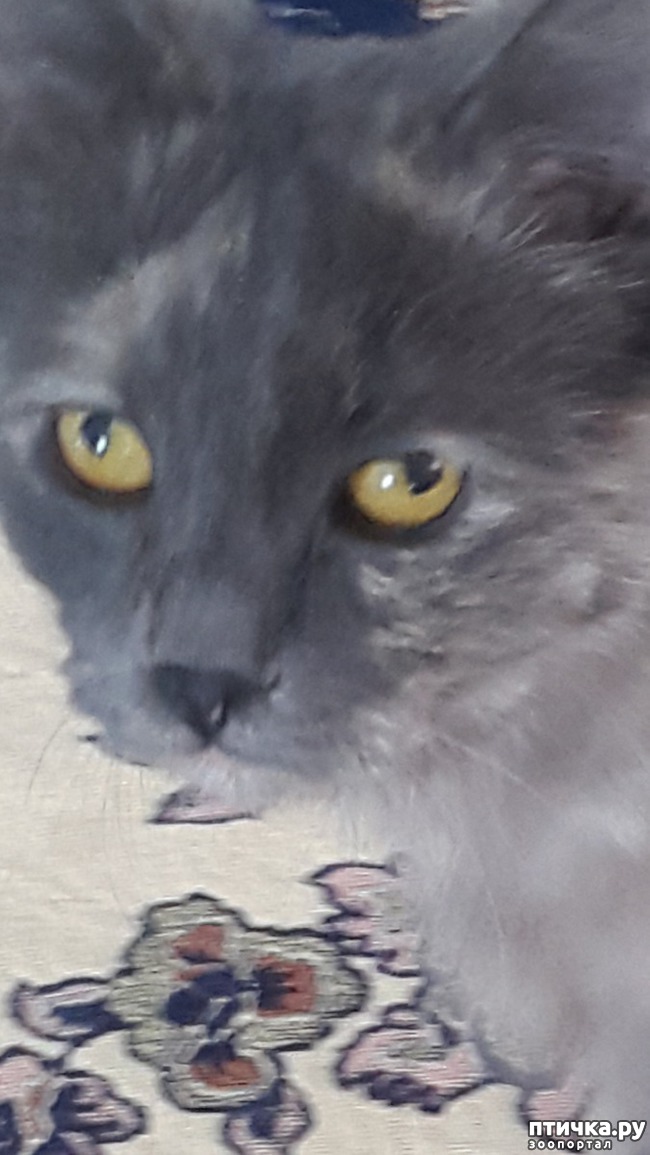 ���� 2: ���� � ����