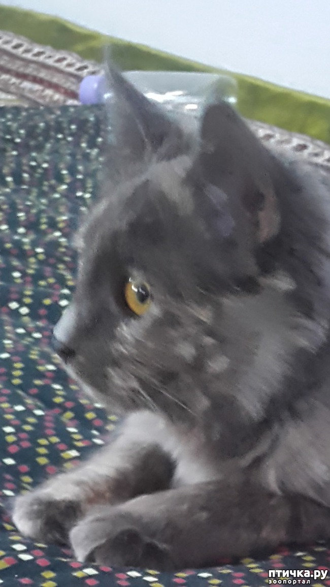 ���� 3: ���� � ����