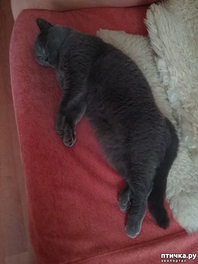 ���� 13: ����� - �����