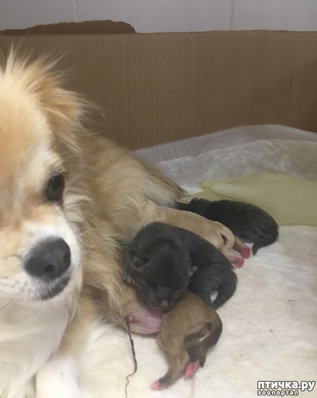 ���� 2: ����� ����� �� ������)))