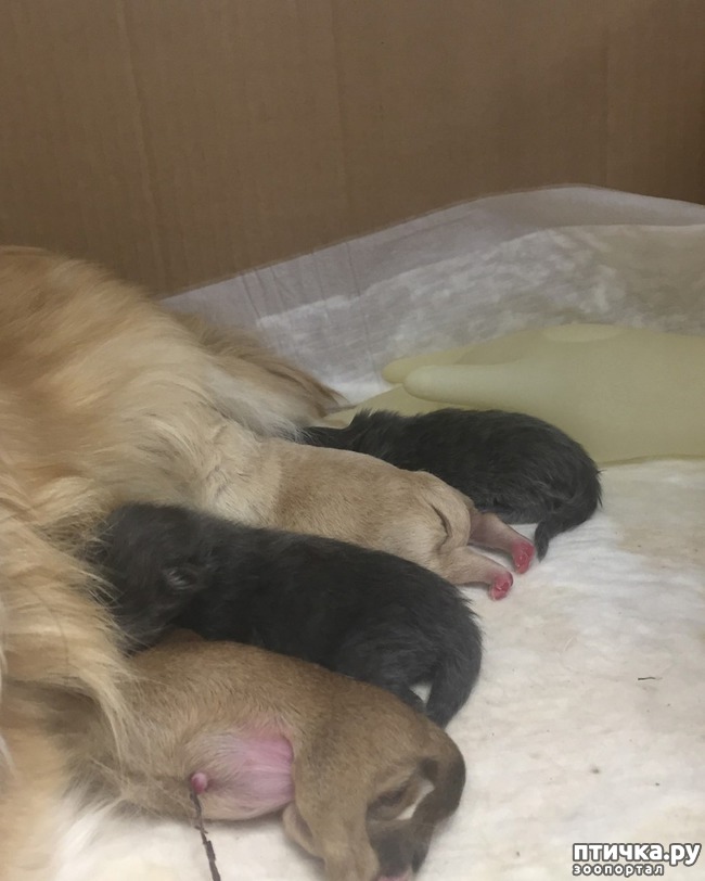 ���� 3: ����� ����� �� ������)))