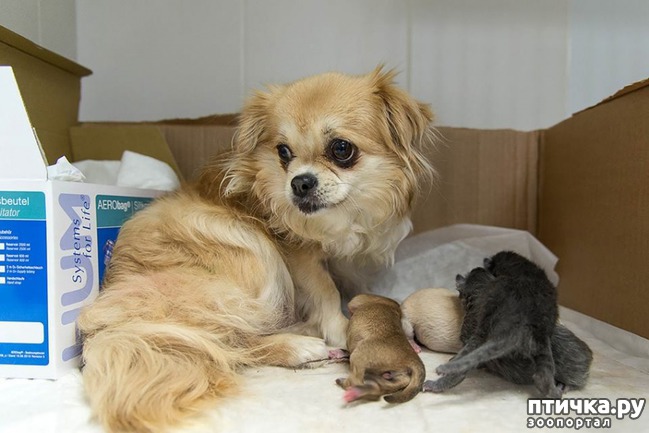 ���� 4: ����� ����� �� ������)))