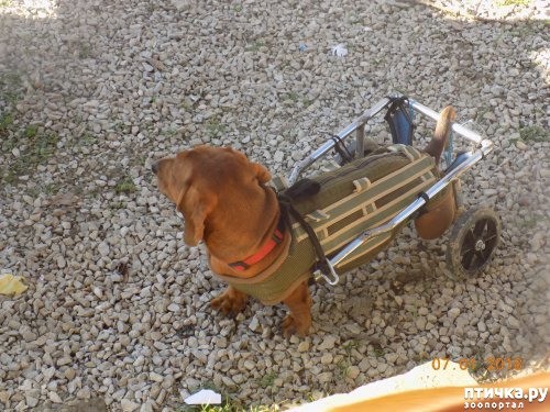 ���� 2: ����� ������ � ����� ���������!