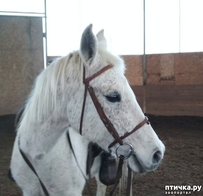 ���� 1: ��������� � �����. �������� ���������