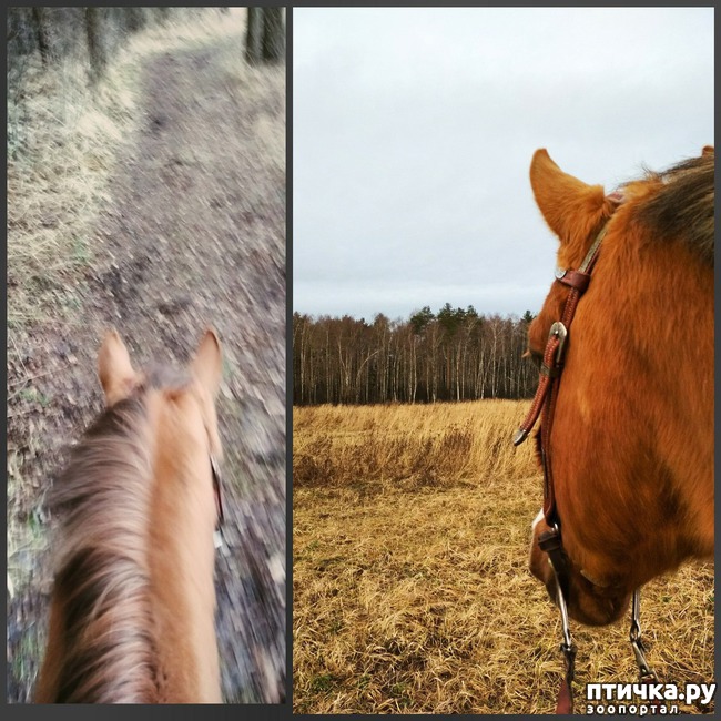 ���� 3: ��������� � �����. �������� ���������