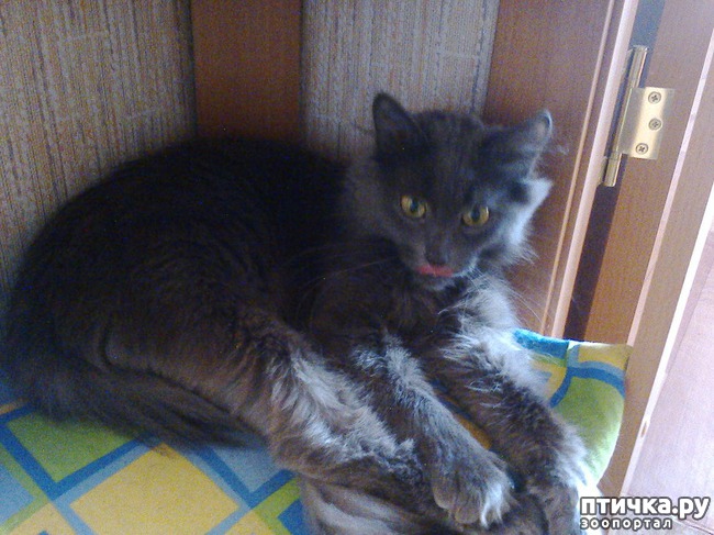 ���� 1: �����