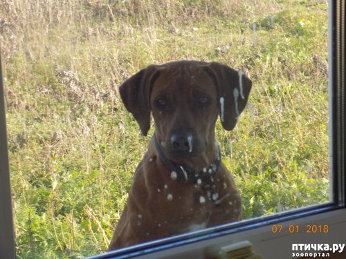 ���� 11: ����� ������ � ����� ���������!