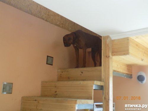 ���� 12: ����� ������ � ����� ���������!