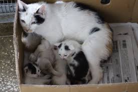 ����: ���� �� �������