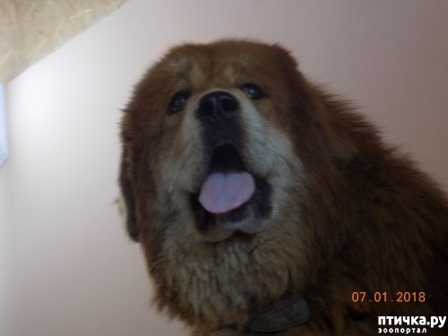 ���� 15: ����� ������ � ����� ���������!