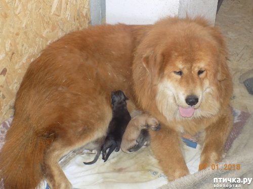 ���� 16: ����� ������ � ����� ���������!