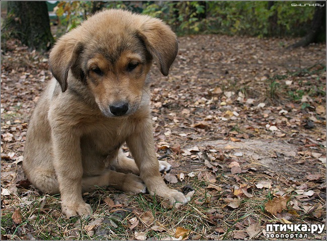 ���� 1: ���� ����� ��� ������