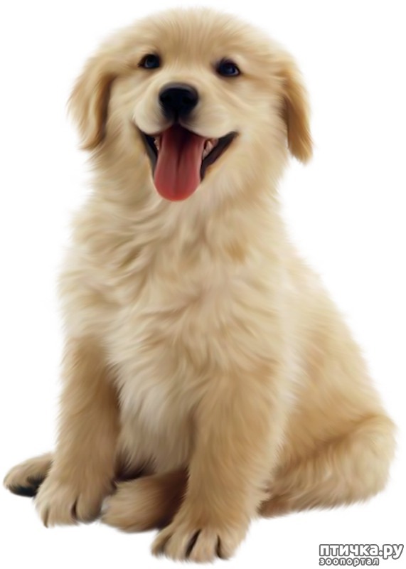 ���� 2: ���� ����� ��� ������