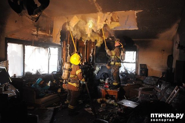 ���� 2: ����� ��������� ����� ������ ��� ������ � ������ ������ ���� ���...