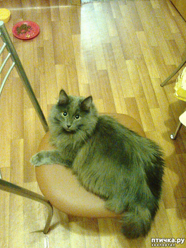 ���� 2: �����