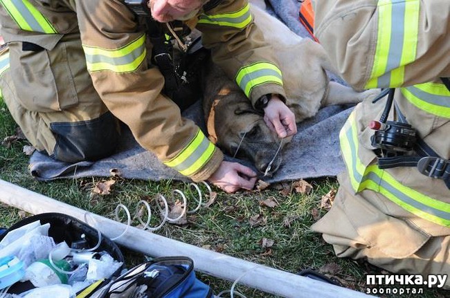 ���� 4: ����� ��������� ����� ������ ��� ������ � ������ ������ ���� ���...