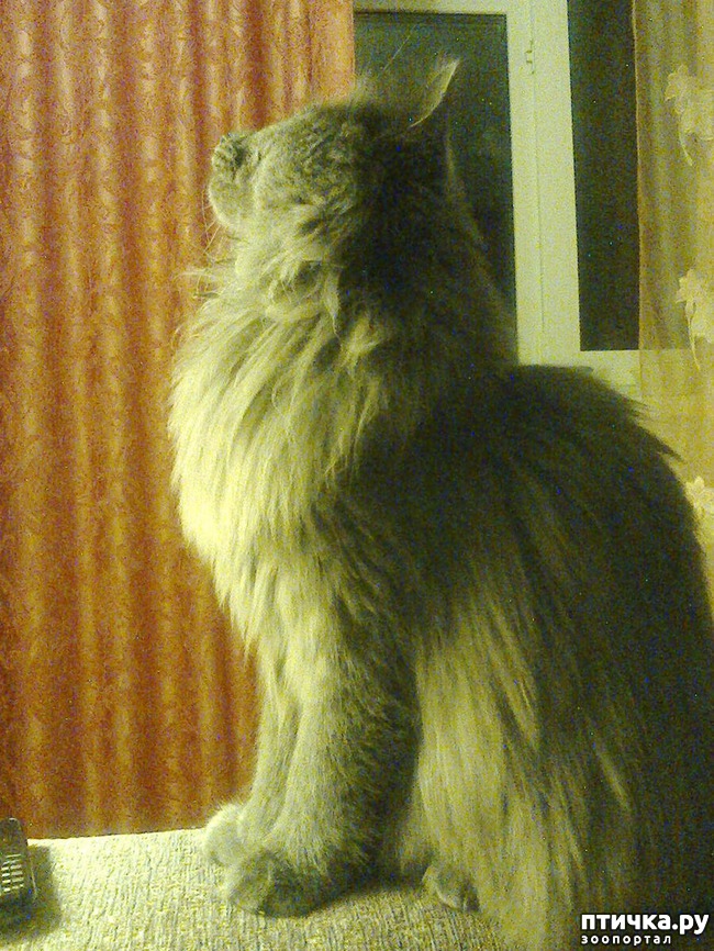 ���� 3: �����