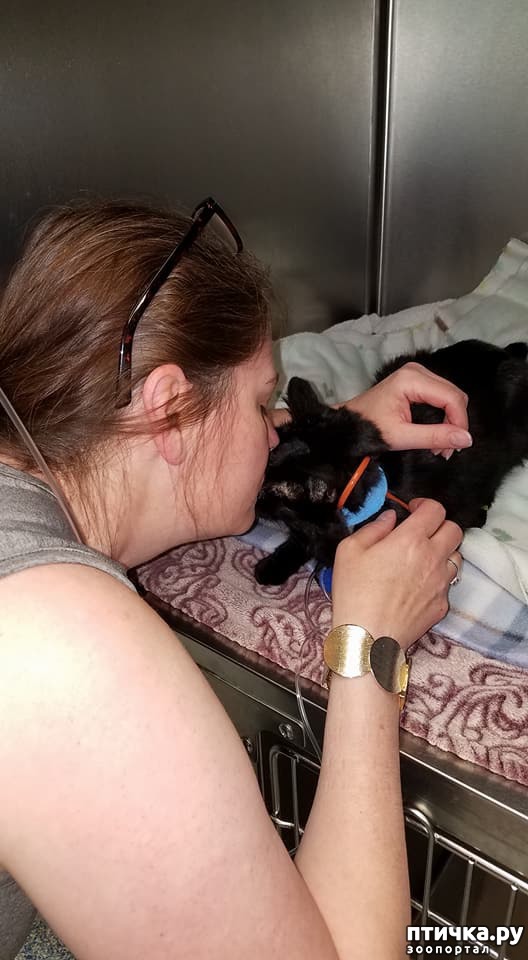 ���� 5: ����� ��������� ����� ������ ��� ������ � ������ ������ ���� ���...