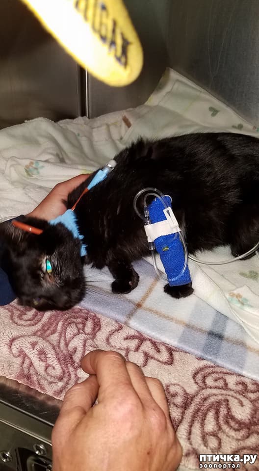 ���� 6: ����� ��������� ����� ������ ��� ������ � ������ ������ ���� ���...