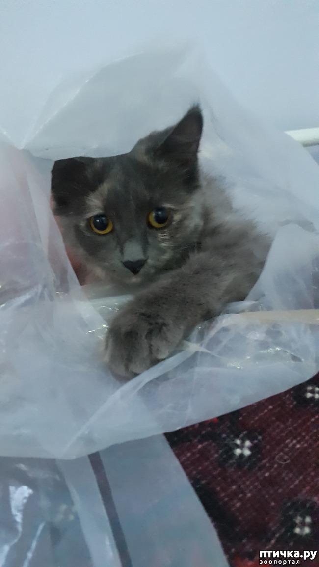 ���� 1: ������