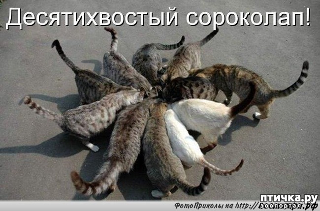 ���� 2: ������� ��������� �� ��������