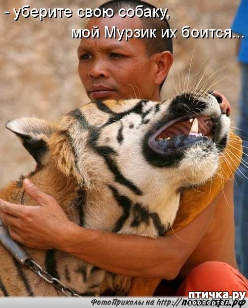 ���� 6: ������� ��������� �� ��������