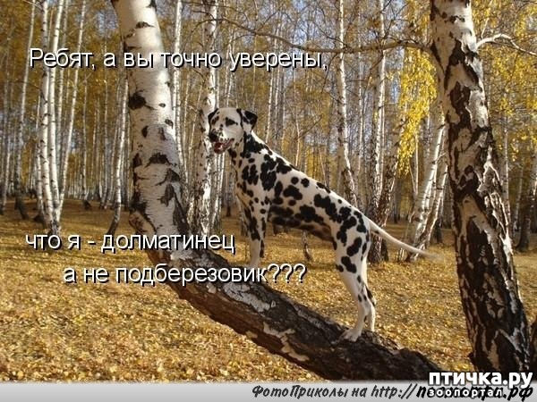 ���� 3: ������� ��������� �� ��������