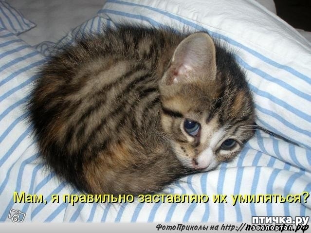 ���� 7: ������� ��������� �� ��������