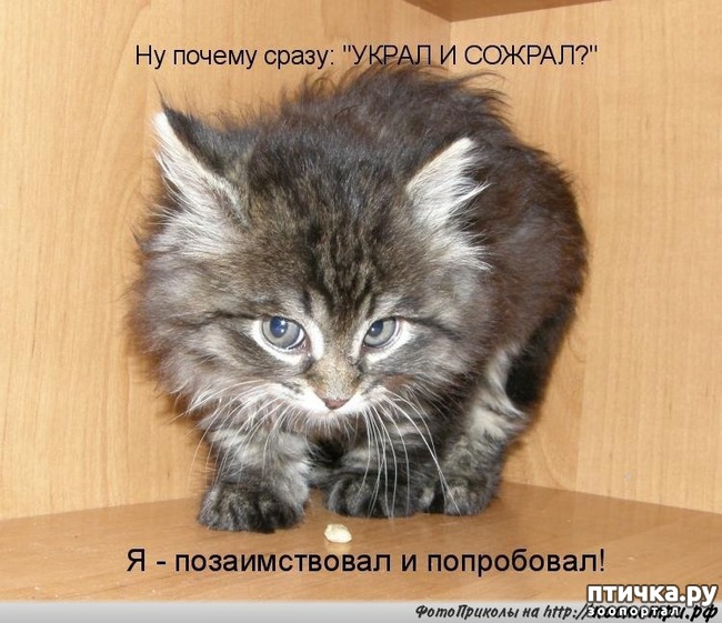 ���� 10: ������� ��������� �� ��������