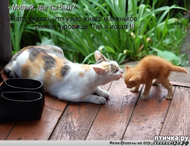 ���� 12: ������� ��������� �� ��������