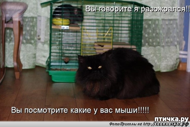 ���� 13: ������� ��������� �� ��������