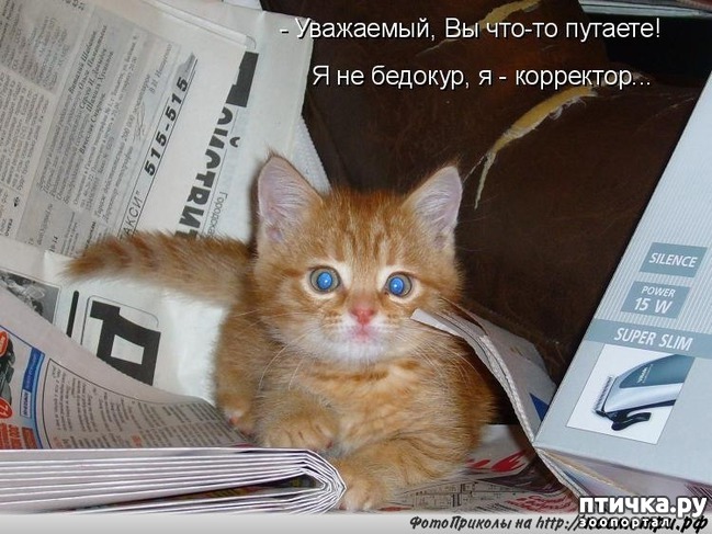 ���� 5: ������� ��������� �� ��������