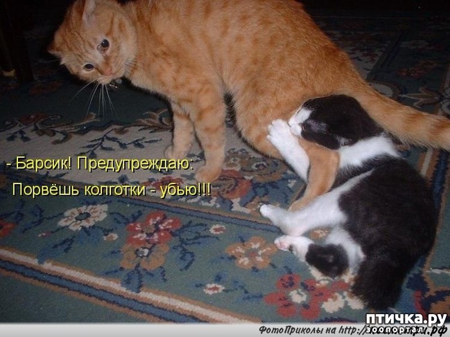 ���� 8: ������� ��������� �� ��������