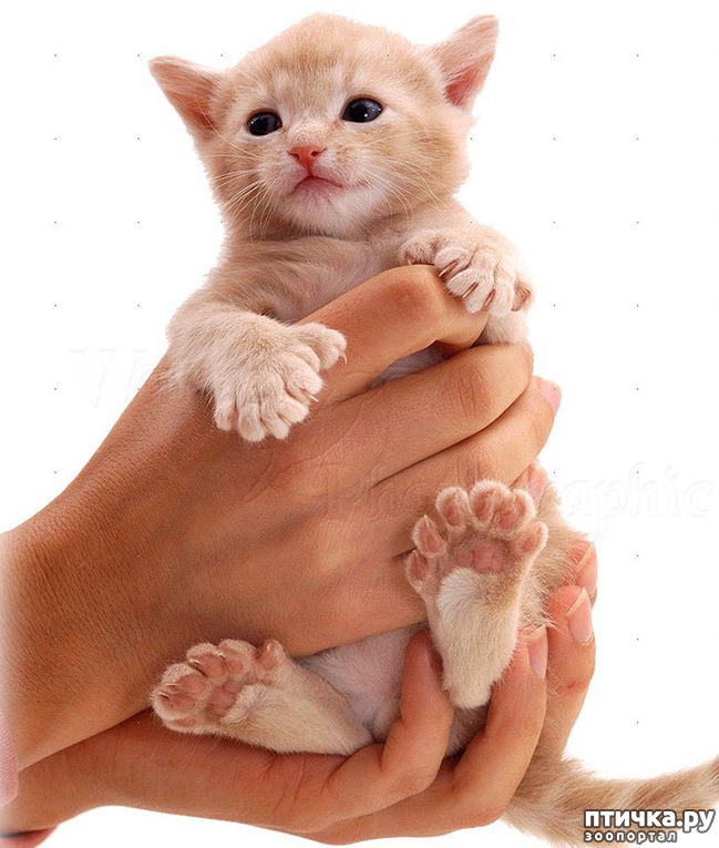 ���� 2: ���������� ������������ �����.