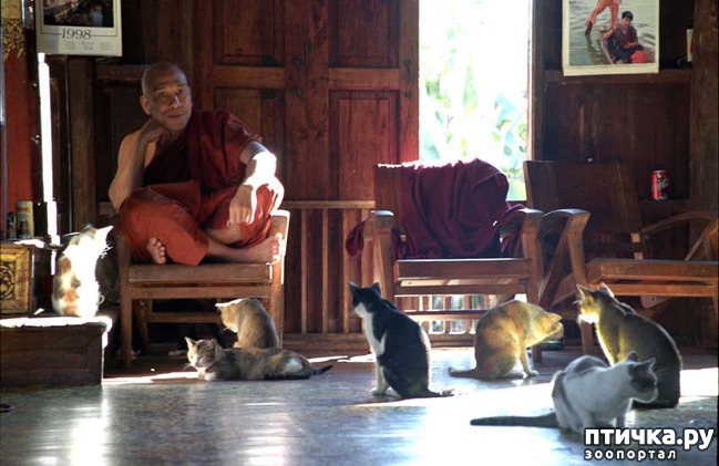 ���� 1: ��������� ���������� ������ � ����� � ��������� ����� � ������