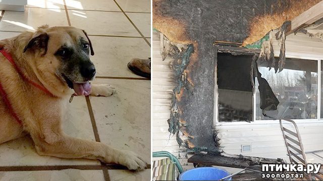 ���� 1: ����� ��������� ����� ������ ��� ������ � ������ ������ ���� ���...